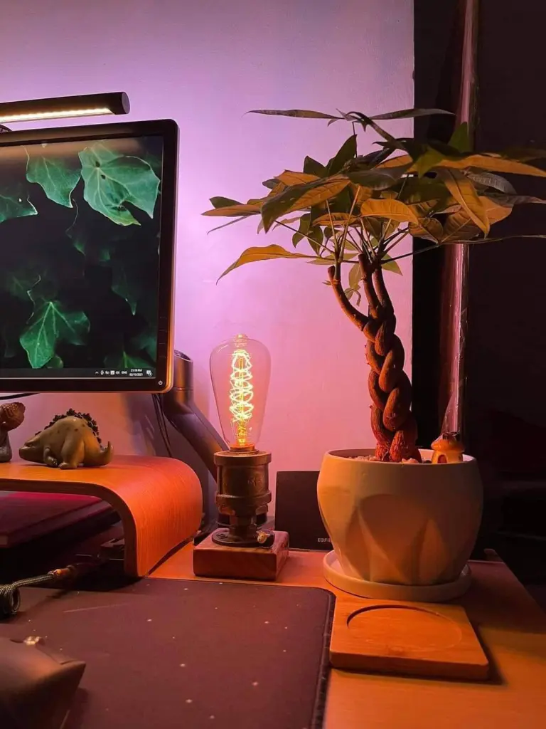 đèn decor